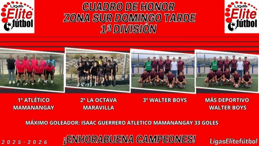 CUADRO DE HONOR ZONA SUR DOMINGO TARDE 1ª DIVISIÓN